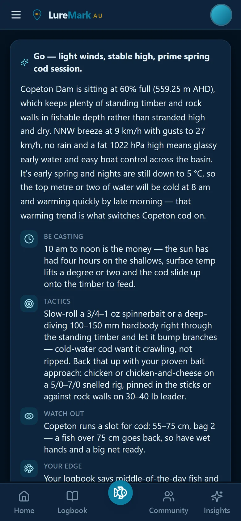 The game plan for a Murray cod morning on a dam: when to be casting, tactics, what to watch out for and your edge